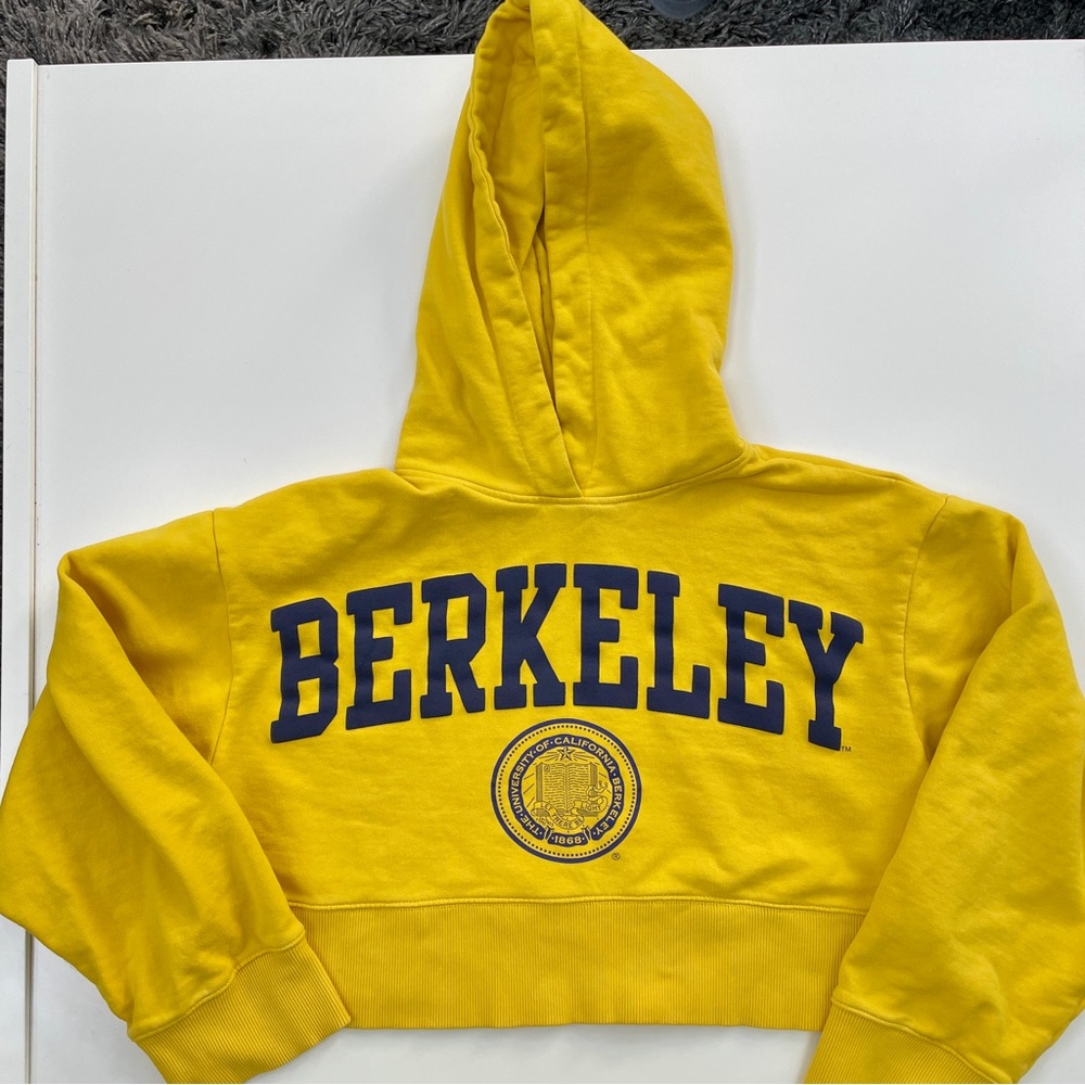 Berkeley cropped hoodie